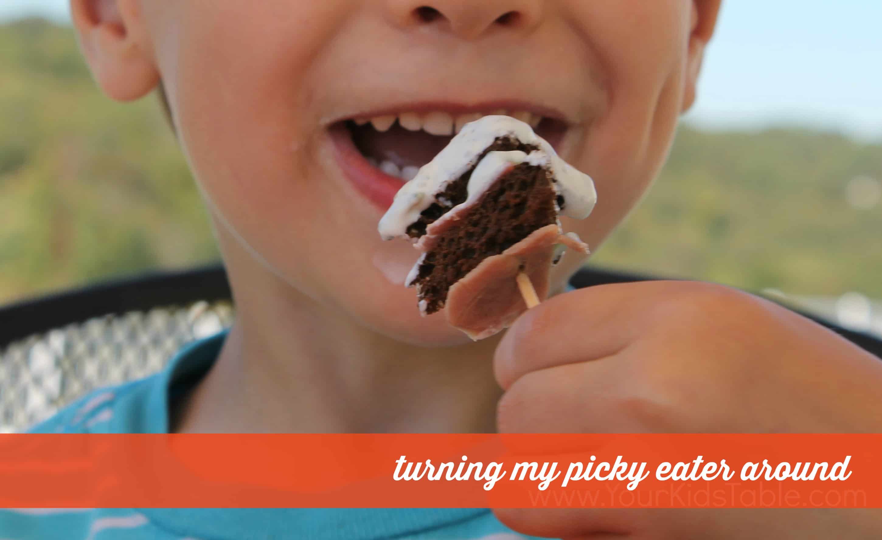 picky eater solutions