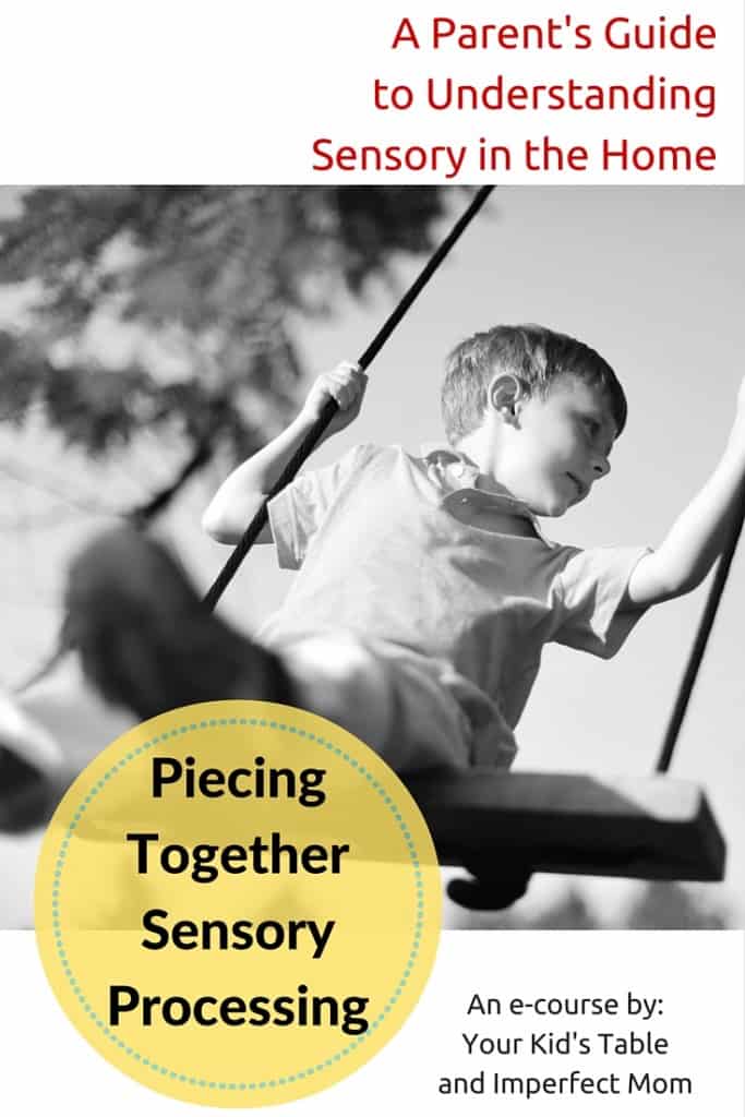 A Big Announcement: Sensory E-Course