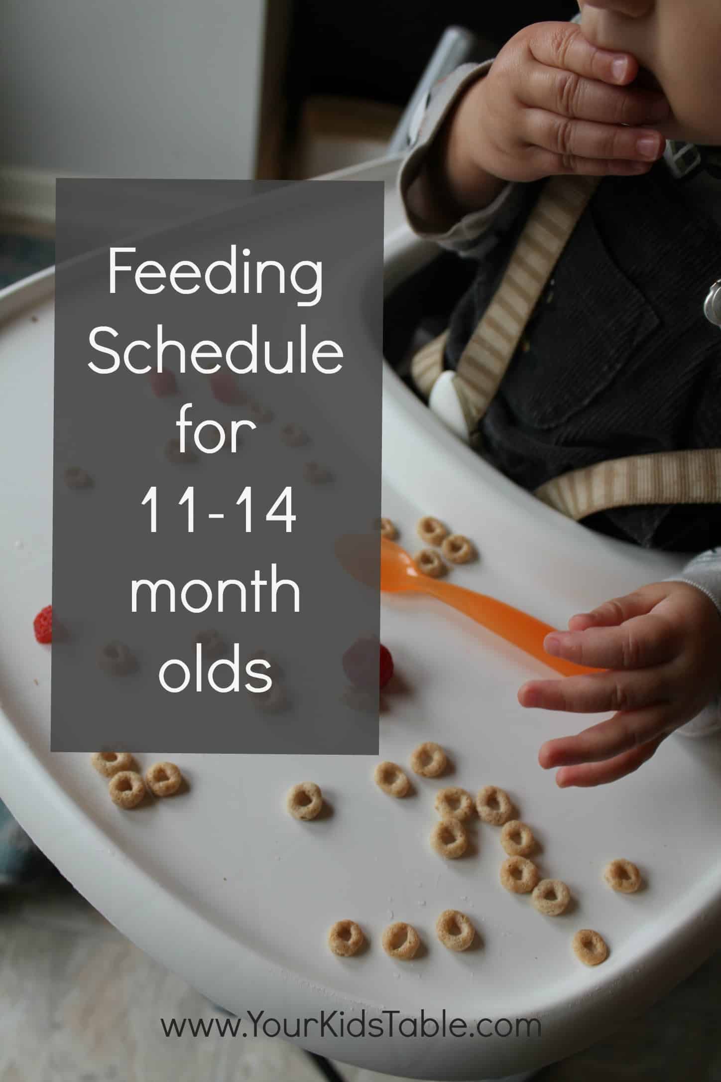 Easy Feeding Schedule For 1 Year Olds Your Kid s Table