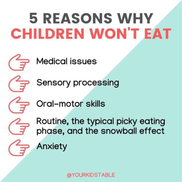 Feel like you're banging your head against the wall trying to figure out why your child won't eat anything or refuses to eat at all? There are real reasons and ways you can help picky eater kids. Learn how from a feeding expert and mom.