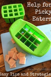 Picky Eater Kids- FunBites Review