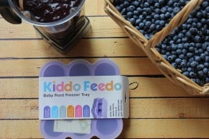 Blueberry & Apple Baby Food and Fruit Leather