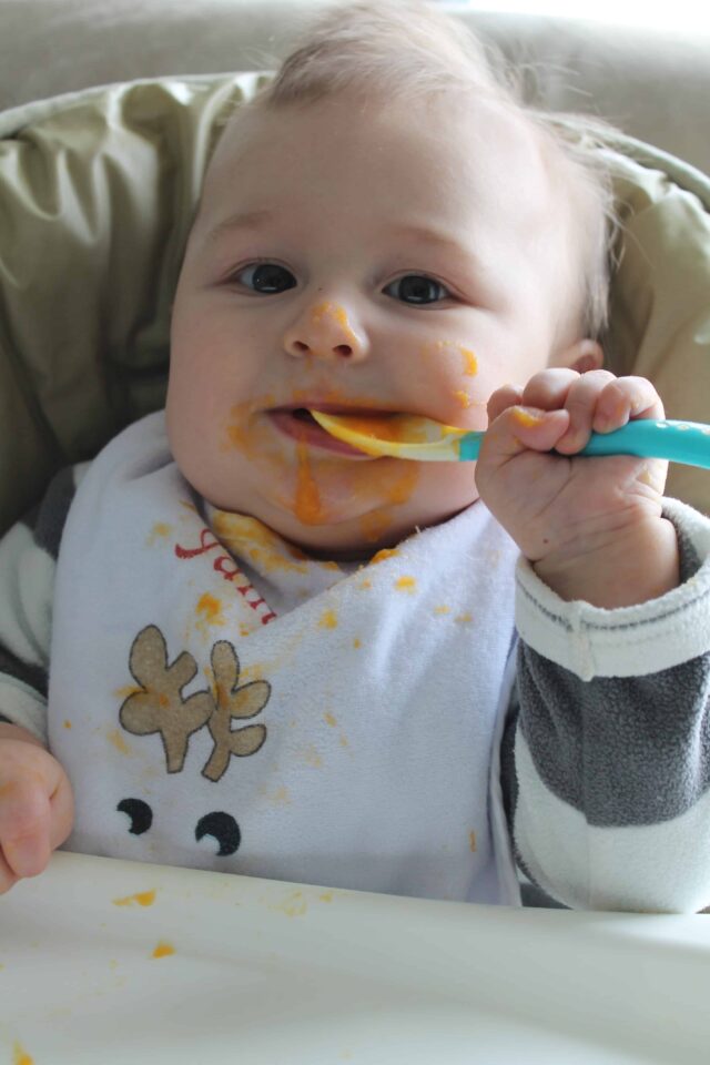 Baby Food Options To Introduce to Your Child