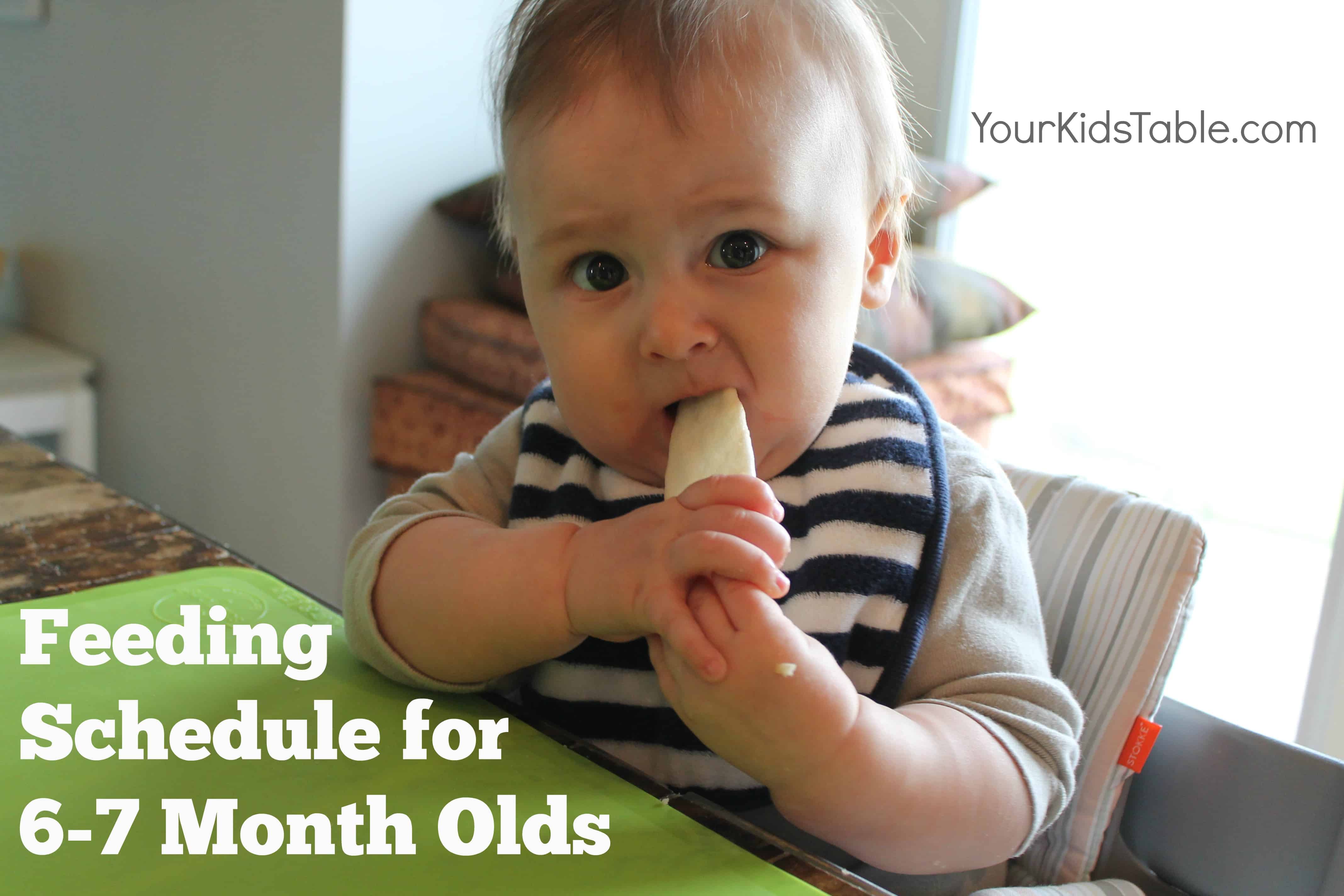 feeding schedule 6 month - Your Kid's Table