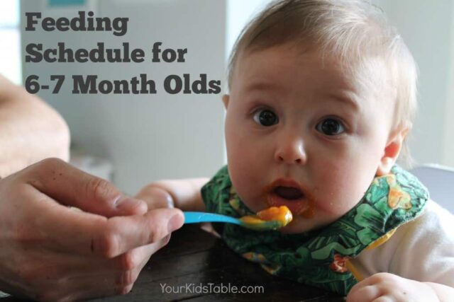 Complete sample feeding schedule for 6 month old babies with helpful tips to use and adjust for your baby through their 7th month. Bonus feeding tips for 6 month olds! 