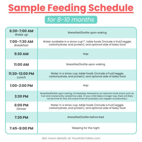 Feeding Schedule for 8, 9, and 10 month old Babies - Your Kid's Table