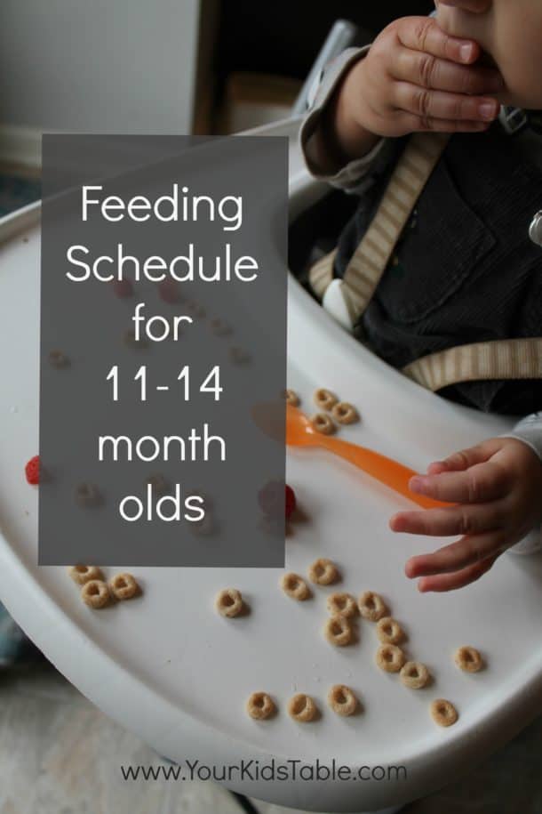 Feeding Schedule for 11, 12, and 13 month olds