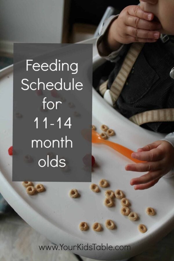 Feeding Schedule for 11-14 months