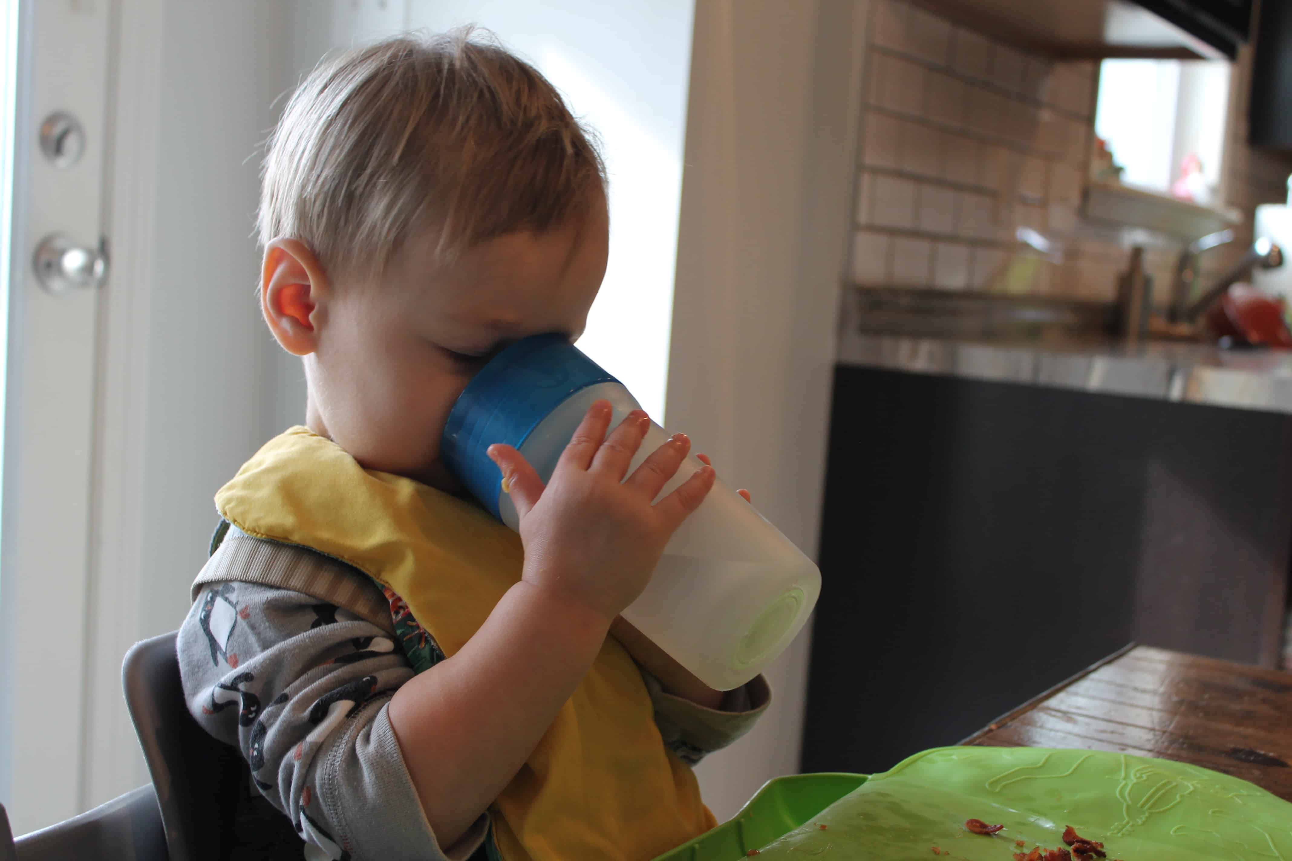 Easy Feeding Schedule for 1 Year Olds - Your Kid's Table