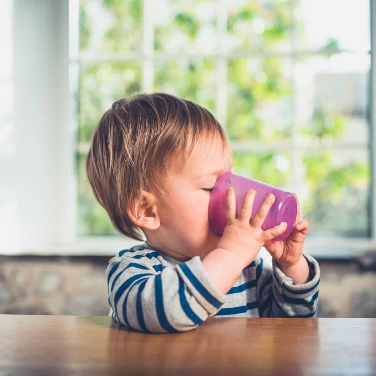 11, 12, and 13 months plus can be a difficult time to determine a toddler feeding schedule with so many transitions from baby food and bottles. Get these sample feeding schedules with milk for 1 year olds from a feeding expert and mom. 