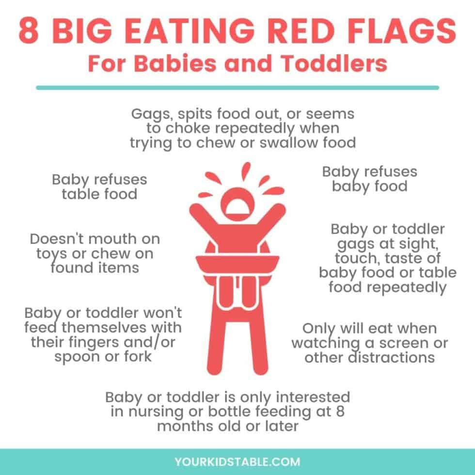 8 Big Feeding Red Flags for Babies and Toddlers Your Kid's Table