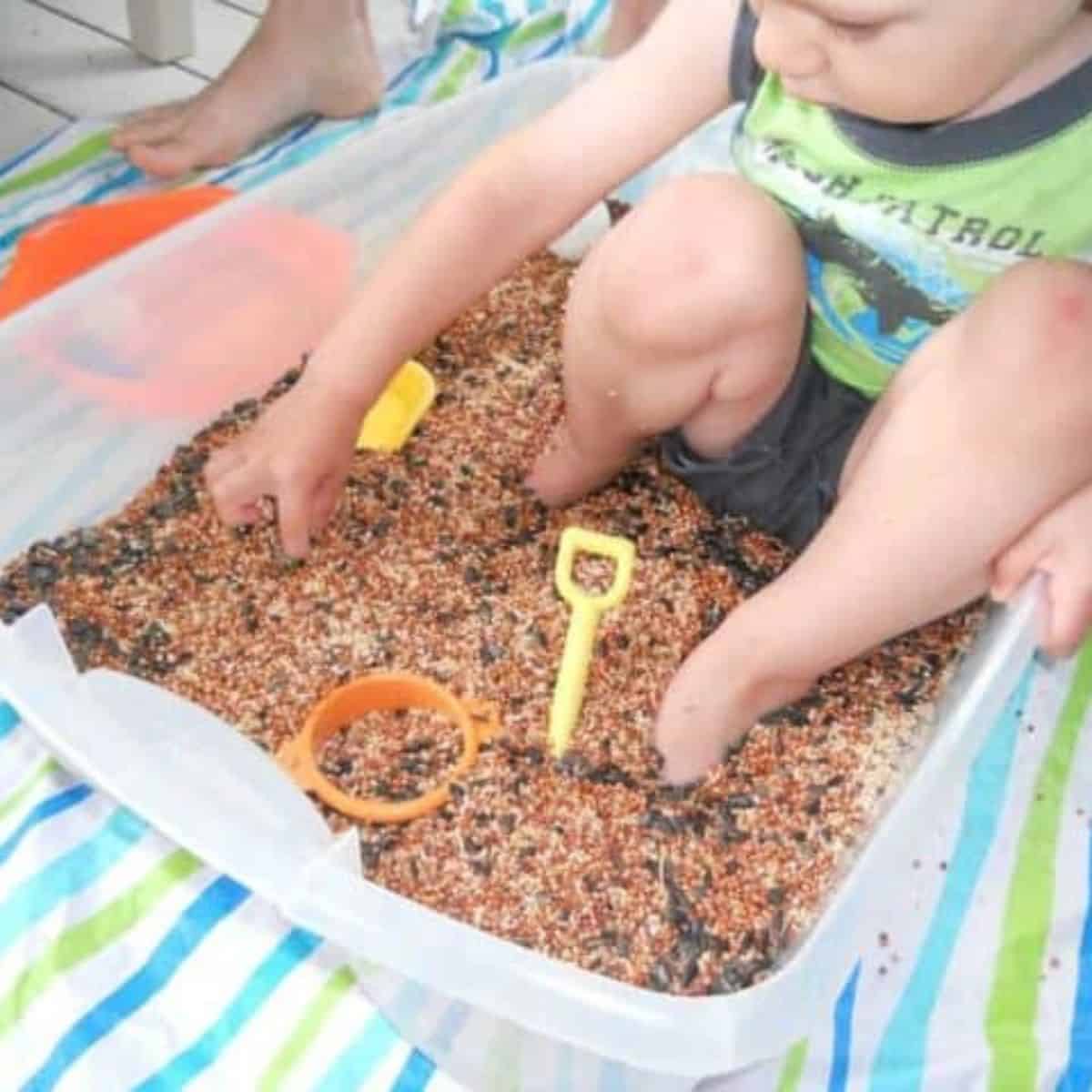Use sensory seeking activities to calm and organize sensory seeking behaviors in your “wild” child or toddler that seems to never stop moving.