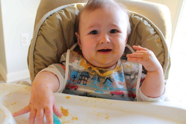 6 month old refusing solids