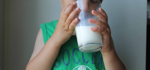 Many parents wonder, how much milk should a toddler drink, because it changes drastically at 1 years old! Get the answer, plus the best sippy cup for milk and what to do when your 2 year won't eat and only drinks milk.