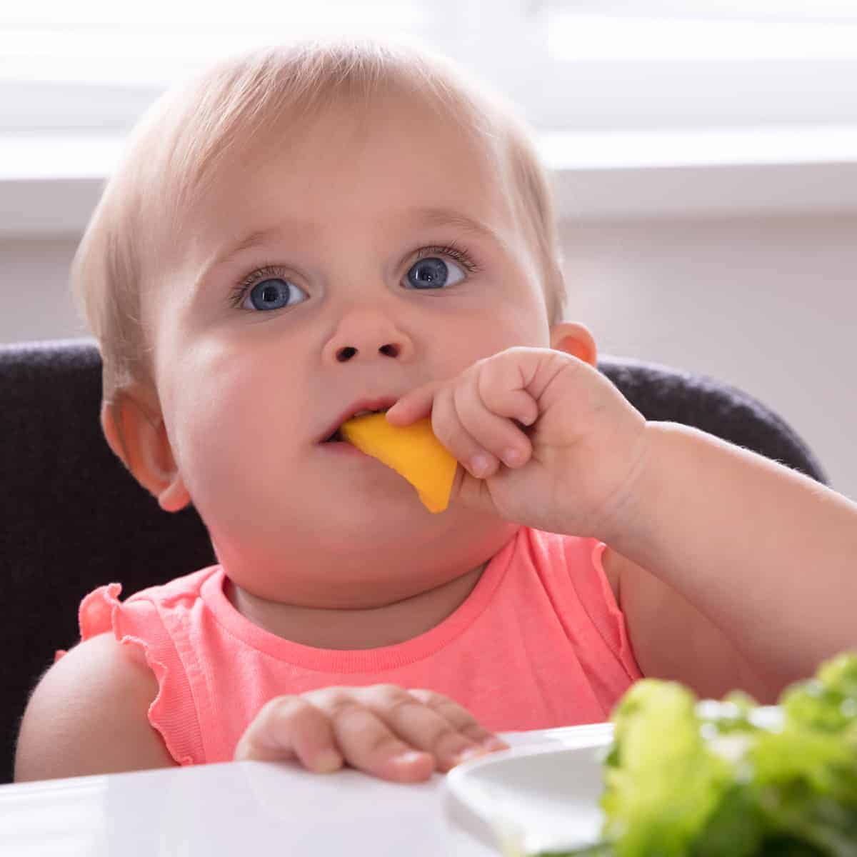 When can Babies Eat Puffs, Cheerios, & Other Foods Safely?