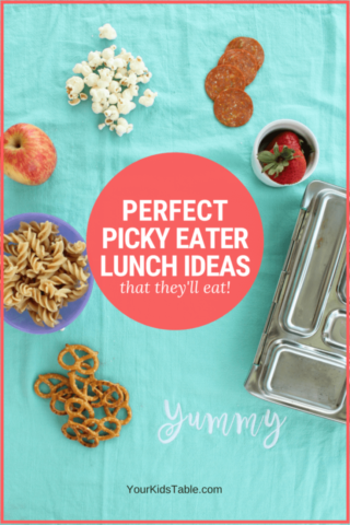 Perfect Lunch Ideas for Picky Eaters at School, Home, or Daycare