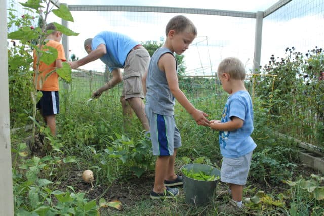 Discover awesome sensory activities that are E-A-S-Y and prefect for summer! These activities are designed to promote development and learning no matter what age your child is.  