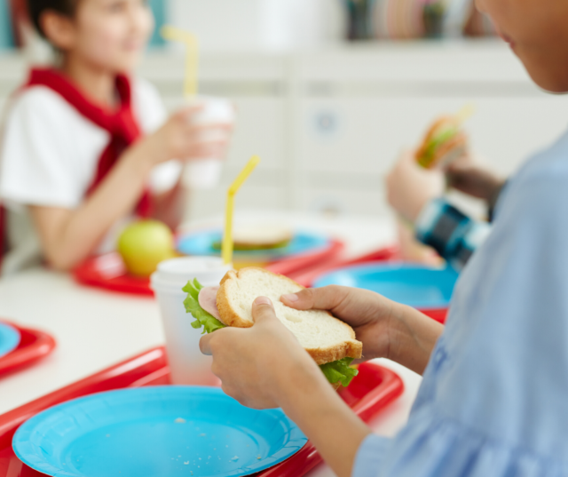 It's such a bummer when picky eaters won't eat the school lunch! But, it's possible for your picky eating kiddo to learn to eat the lunch that's provided. Check out these 7 tips to learn how....