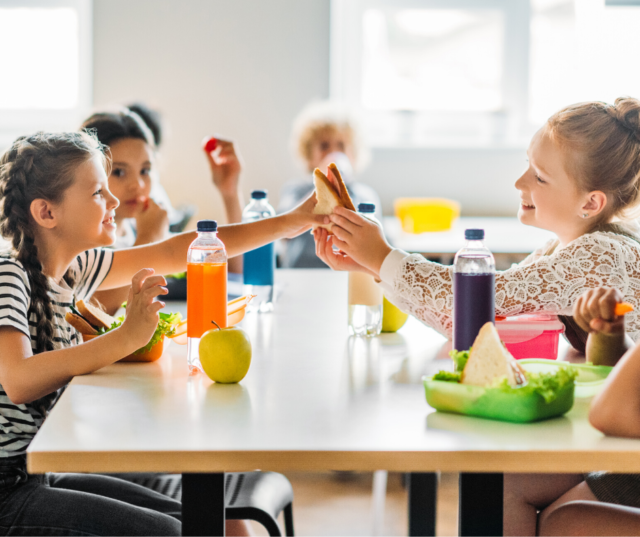 It's such a bummer when picky eaters won't eat the school lunch! But, it's possible for your picky eating kiddo to learn to eat the lunch that's provided. Check out these 7 tips to learn how....