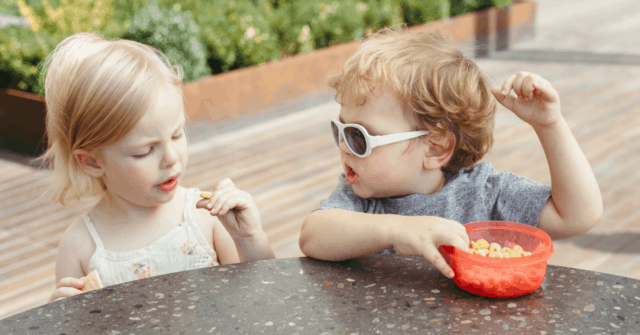 Picky eaters can have a big influences on their brothers and sisters at the dinner table. Learn 4 ways to prevent siblings from falling into the same picky eating habits!