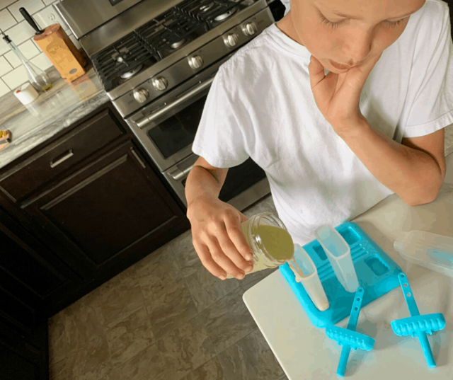 How To Make Healthy Smoothie Cubes for Kids • Faith Filled Food for Moms