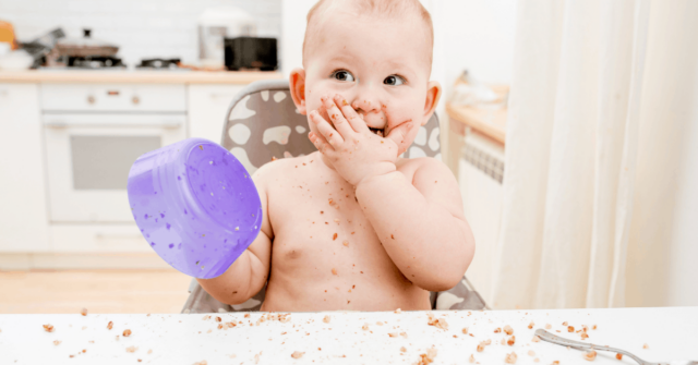 How many times a day do toddlers need to eat? How do you teach a baby to chew? And, how do you wean? Find out the answers to these pressing feeding questions from parents about their babies and toddlers inside...