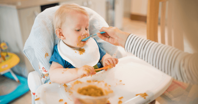 The Best 9 Month Old Baby Food + Table Food Ideas!