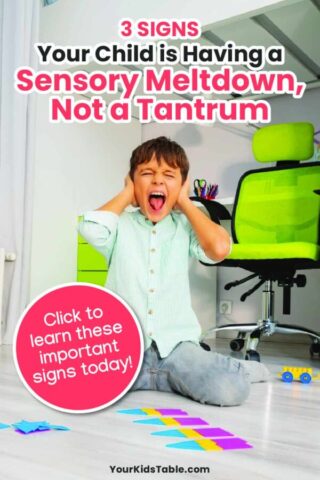 3 Signs Your Child is Having a Sensory Meltdown, Not a Tantrum