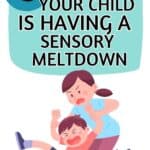 Is your child having a sensory meltdown or a tantrum? Learn exactly how to tell the difference between a sensory meltdown vs. tantrum and how to help your child’s sensory processing when they are having a sensory overload meltdown.