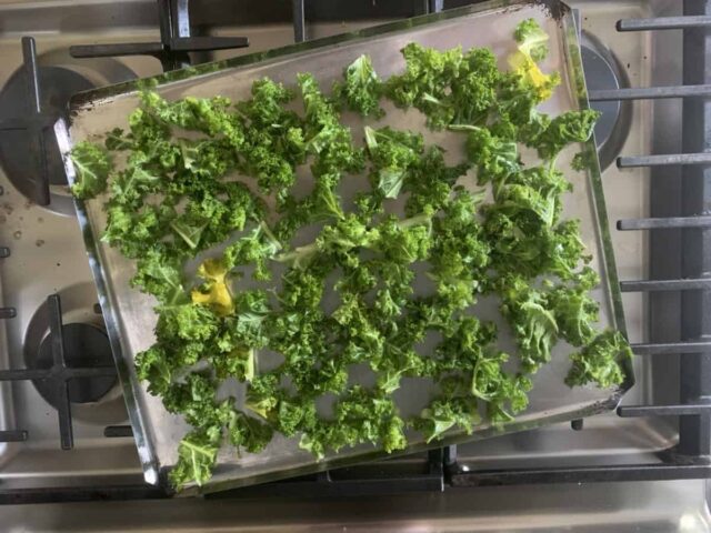 Kale is an amazing super food and this kale chips recipe is a perfect way to get it into your kids, even if they're a picky eater.  Enjoy these kale chips as an after school snack or side dish!