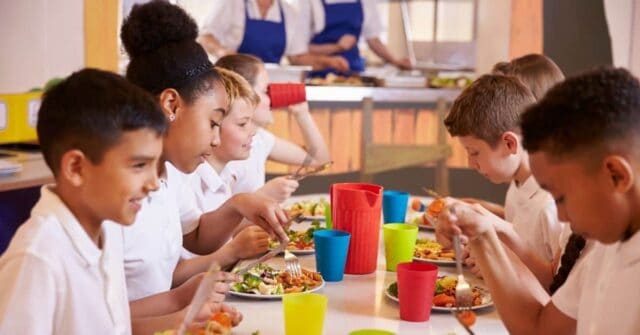 A special message to schools trying to help picky eater kids at lunch.  What to avoid that often makes kids eating worse and what you can do instead!