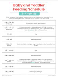 feeding schedule Printable