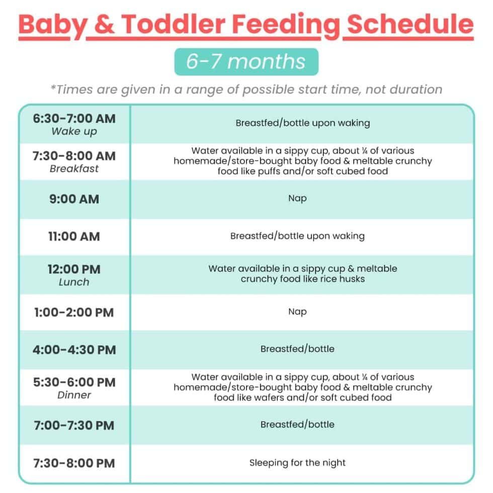 6 - 7 Month Old Feeding Schedule with Free Printable