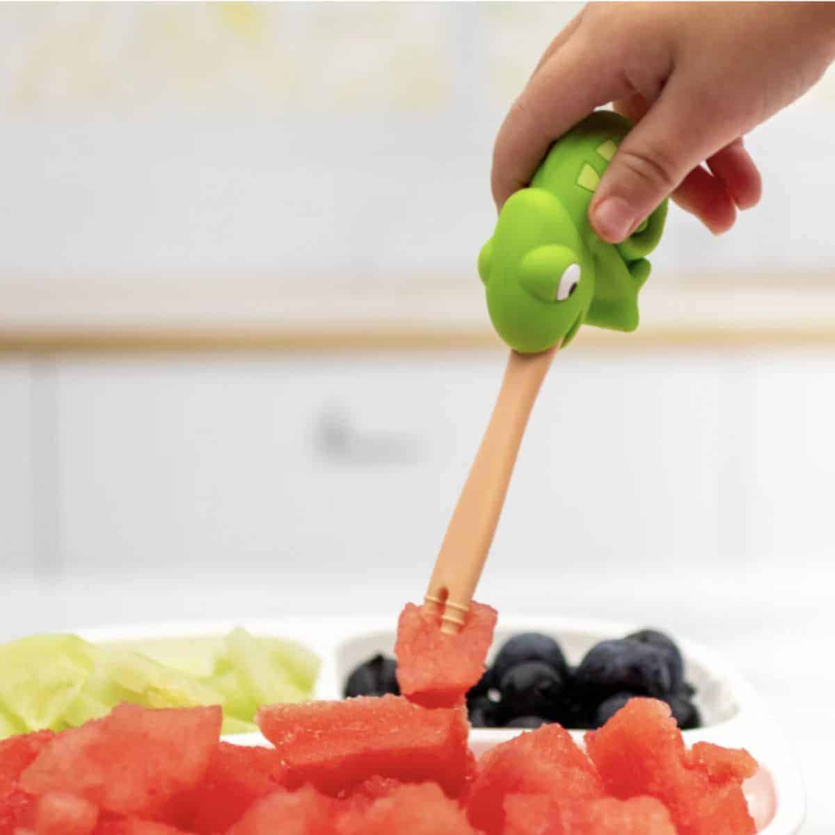 Picky eating can feel like a huge burden on parents, but Dabbldoo's fun food picks and brush are helpful tools to help kids explore and eat new foods!