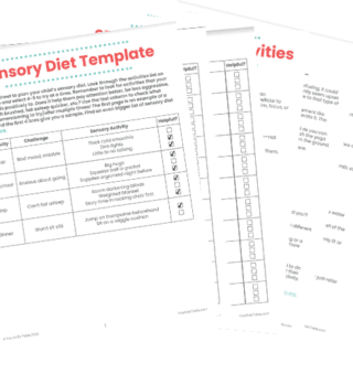 Sensory Diet Template Printable