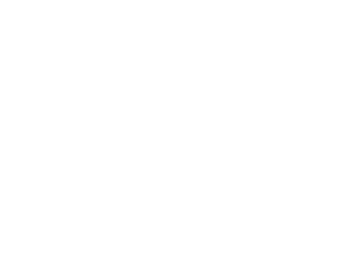 The Therapist Handout Collections