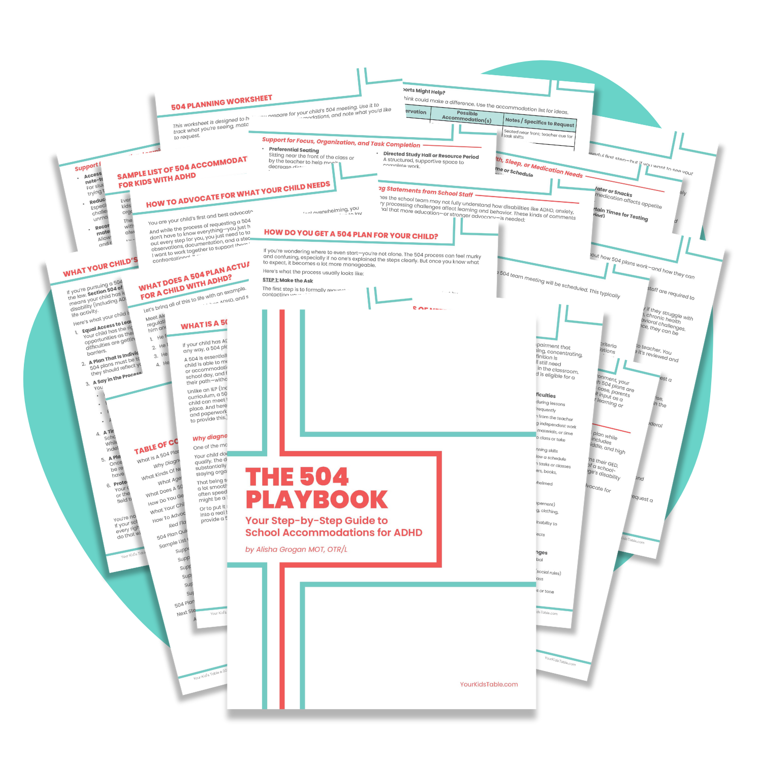 504 Playbook mockup 1