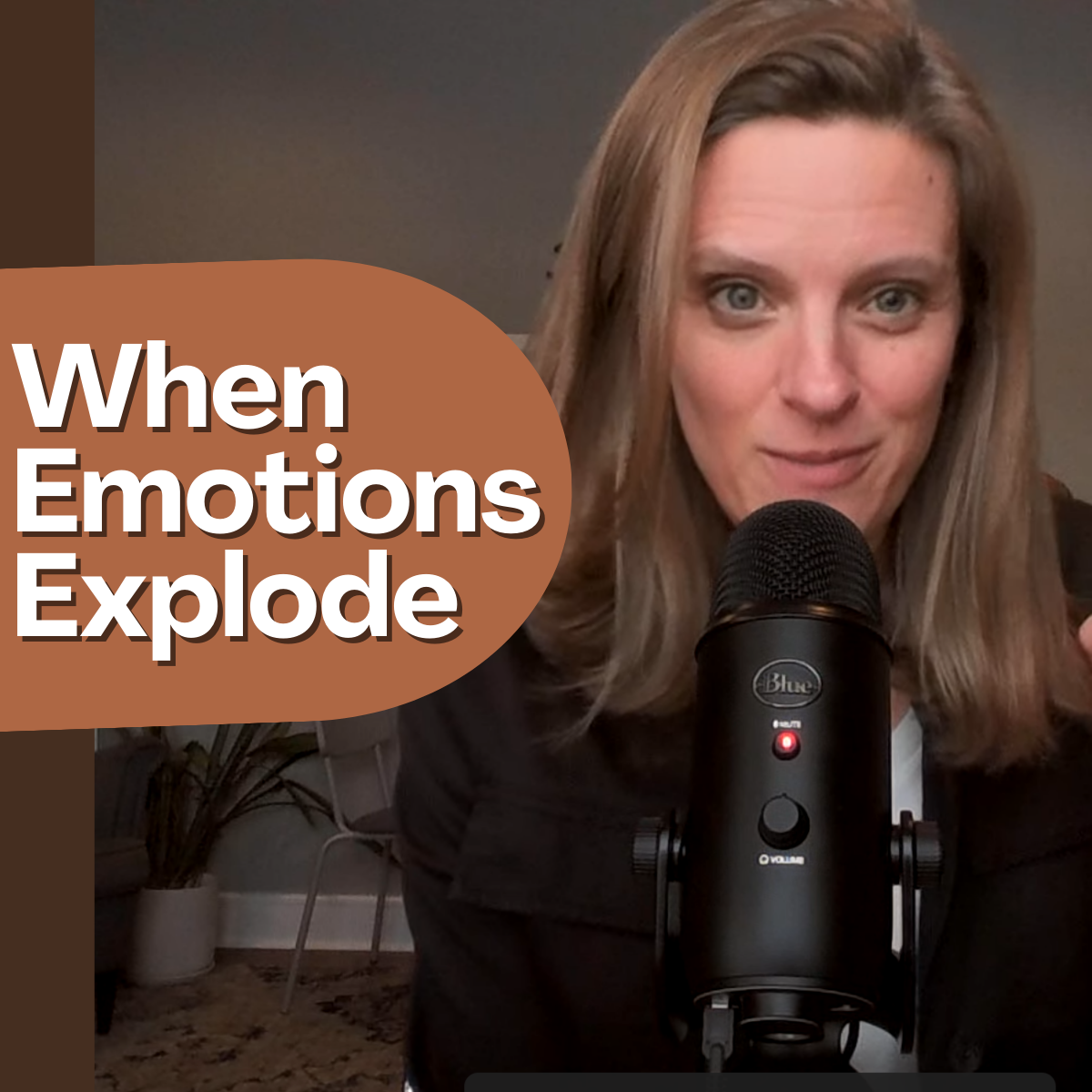 Emotional Regulation 101: What to Do About Meltdowns, Hitting, & Roller Coaster Emotions